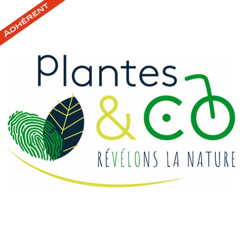 Illustration de Plantes & Co