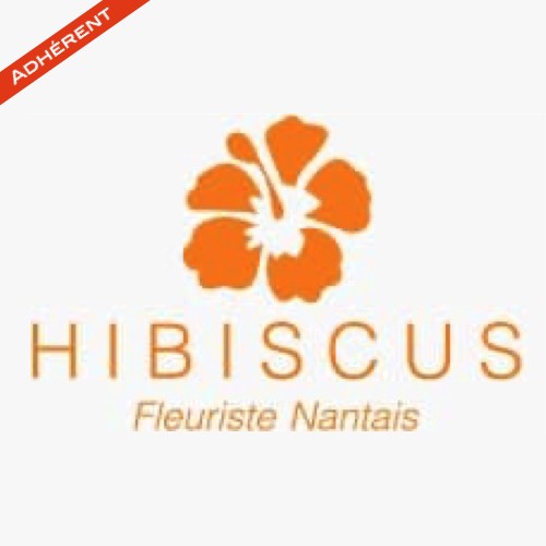 Illustration de HIBISCUS